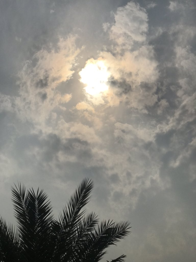 fatimiat's tweet photo. @arabqoute ❤️❤️🌈 https://t.co/t5JR2w4Dmc