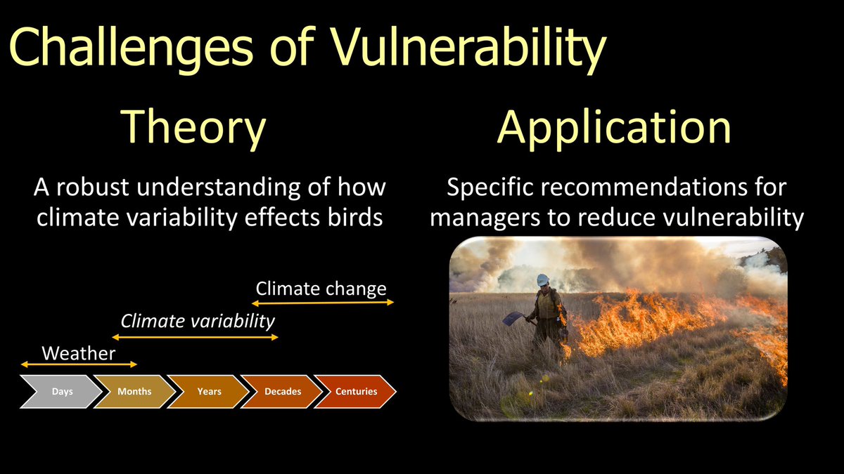 8/25  #BOUsci20  #SESH7  #ornithology We have two pressing challenges in understanding vulnerability. (1) We don’t have a good understanding of climate variability impacts birds (2) When we do identify vulnerable species, we lack specific strategies for managers to implement.