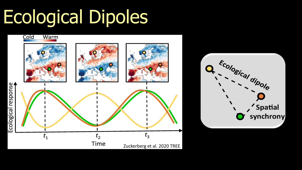 11/25  #BOUsci20  #SESH7  #ornithology Climate dipoles can induce ecological dipoles by synchronizing ecological processes in regions closer together, but desynchronizing processes in regions farther apart. Boom - an ecological dipole!  https://www.cell.com/trends/ecology-evolution/fulltext/S0169-5347(20)30012-4