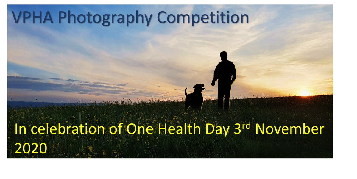 Don't forget submissions need to be in by 14th December

vpha.co.uk/documents/2020…

#vph #onehealth #onehealthonewelfare #veterinarymedicine #sustainablevet