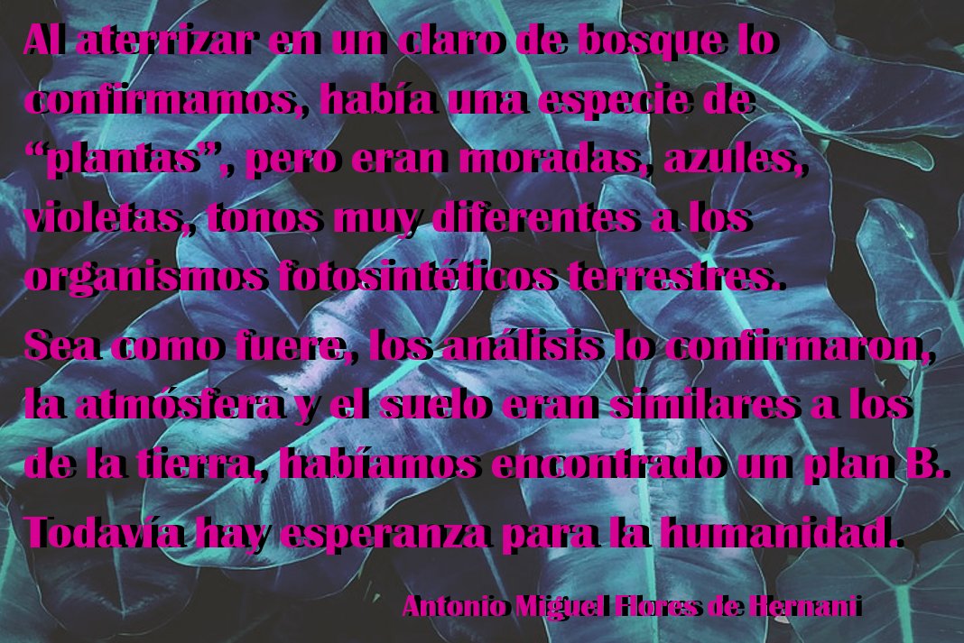 AMiguelFlores_'s tweet photo. 💜💜💜MORADO💜💜💜

#morado💜 #art #arte #textosreflexivos #escrituracreativa #interestelar #365daychallenge #textos #extraterrestre https://t.co/TV8qOfk5ny