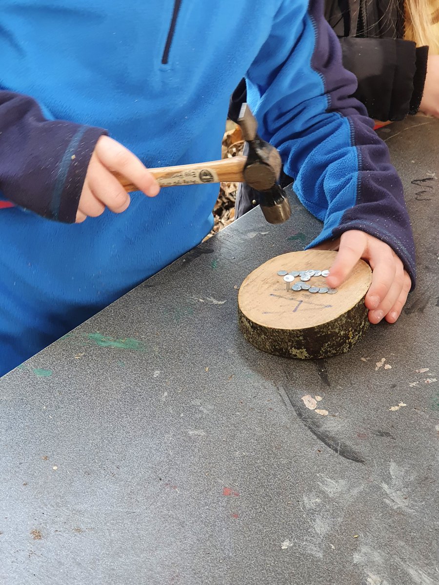 Wild Wood Learning tweet media