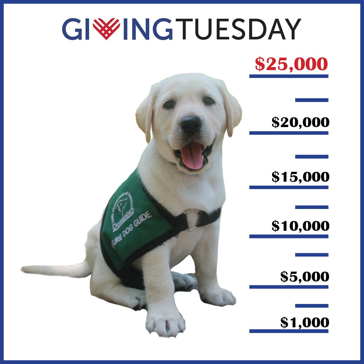 LFCDogGuides's tweet photo. Donate on #GivingTuesday and participate in the
Name a Future Dog Guide Contest! Together, we hope to raise $25,000 to cover the cost of 1 #DogGuide for a Canadian with a medical or physical #disability. For more information, please visit https://t.co/edgYsjI5Lz #GivingTuesdayCA https://t.co/KFWiweZvNV