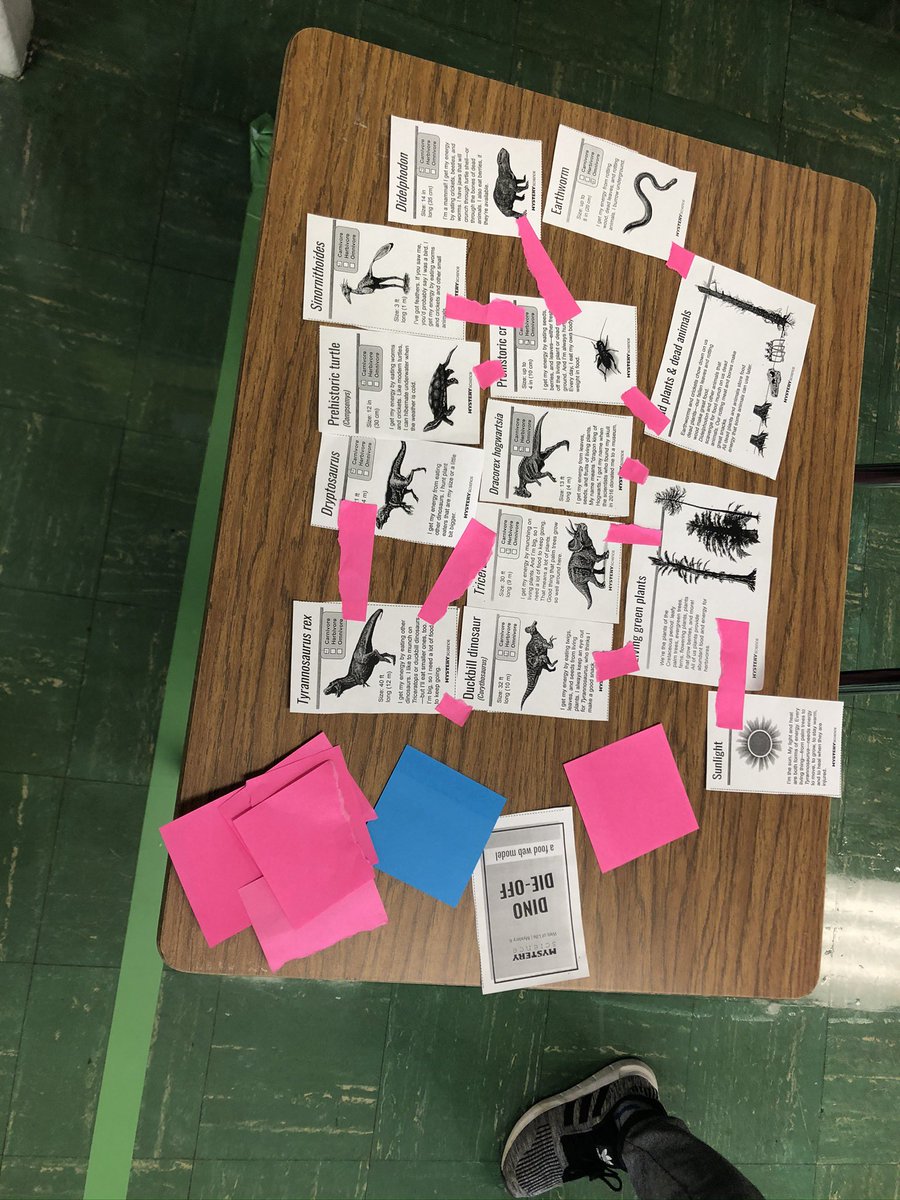 Exploring5thGr's tweet image. Showcasing how good webs play such an important role. So important that they can cause the dinosaurs to go extinct if one piece is removed from it! #exploring5thgr #D109pride