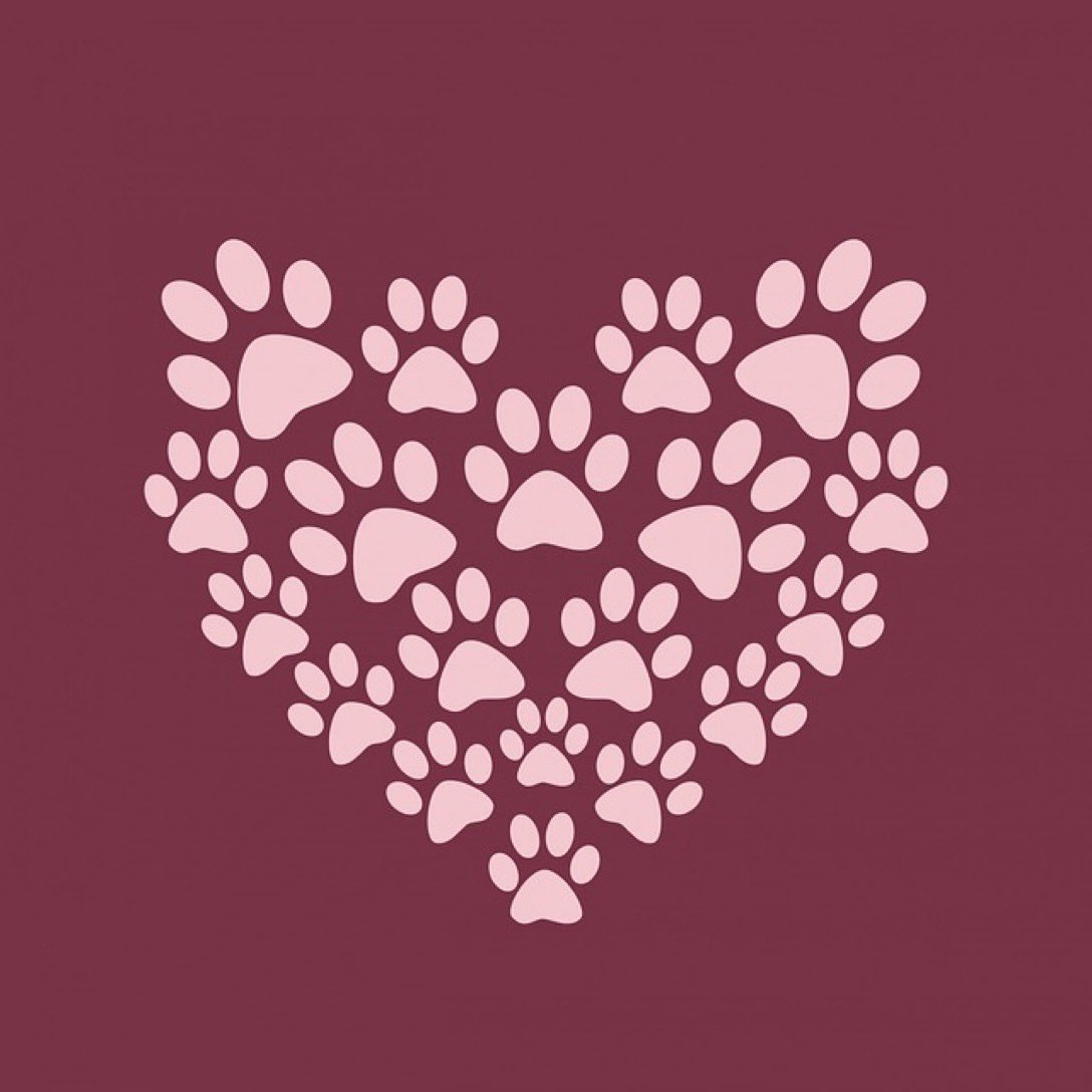 FreshOtis's tweet photo. All our lub to da famblies and furiends who’s fur babies went OTRB dis monff. #TributeRide #BBOT #PA https://t.co/EwmfTOuPOo