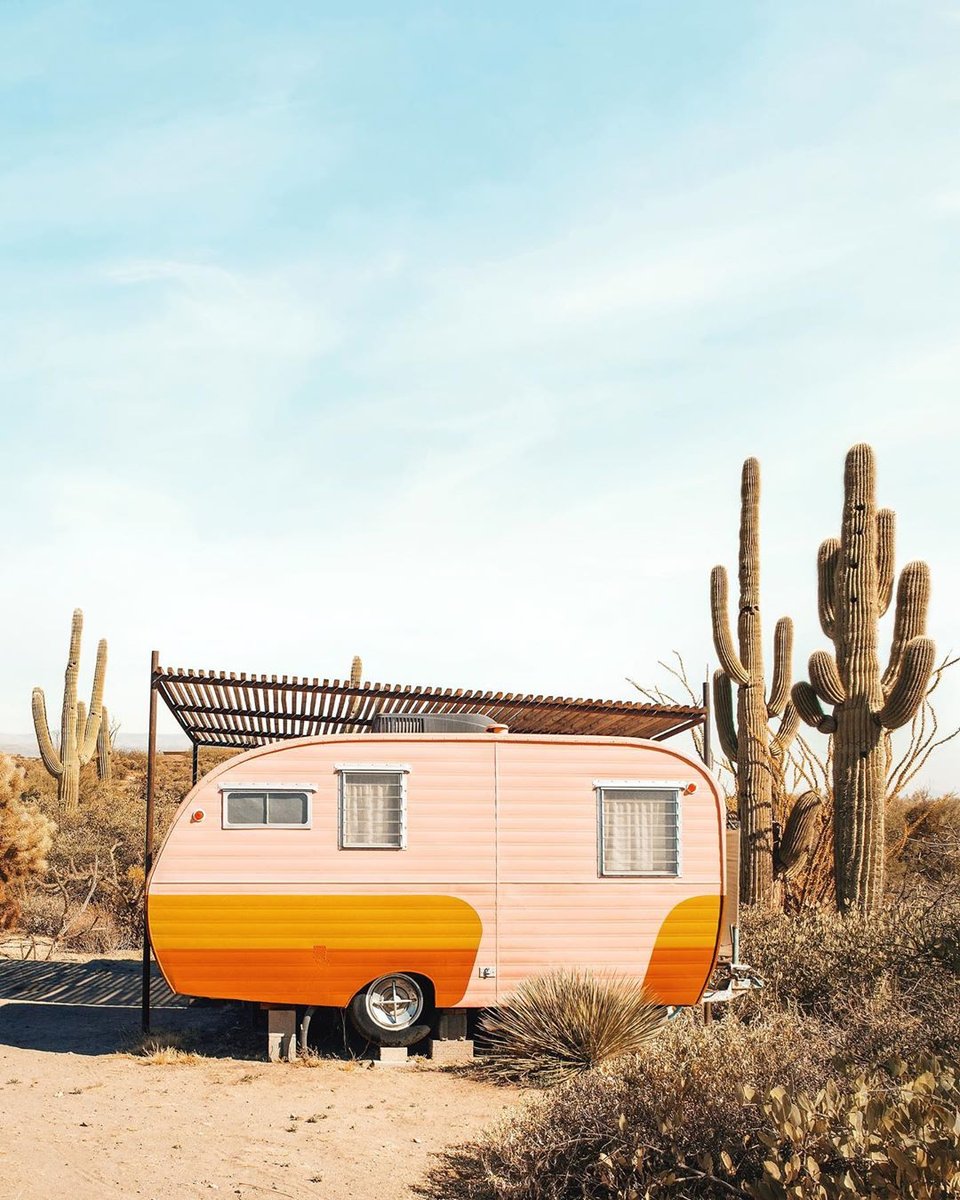 vibecreativemkt's tweet photo. This is an Arizona vibe if we ever did see one!

IG: paulfuentes_photo
#phoenix #arizona #phoenixarizona #azliving #arizonaphotography #arizonadesert #arizonaadventures #arizonastyle #arizonalove #cactus #az #desertlife #cacti #cactilove #positivevibesonly #positivevibes #vibes https://t.co/zfxFzpnj6w