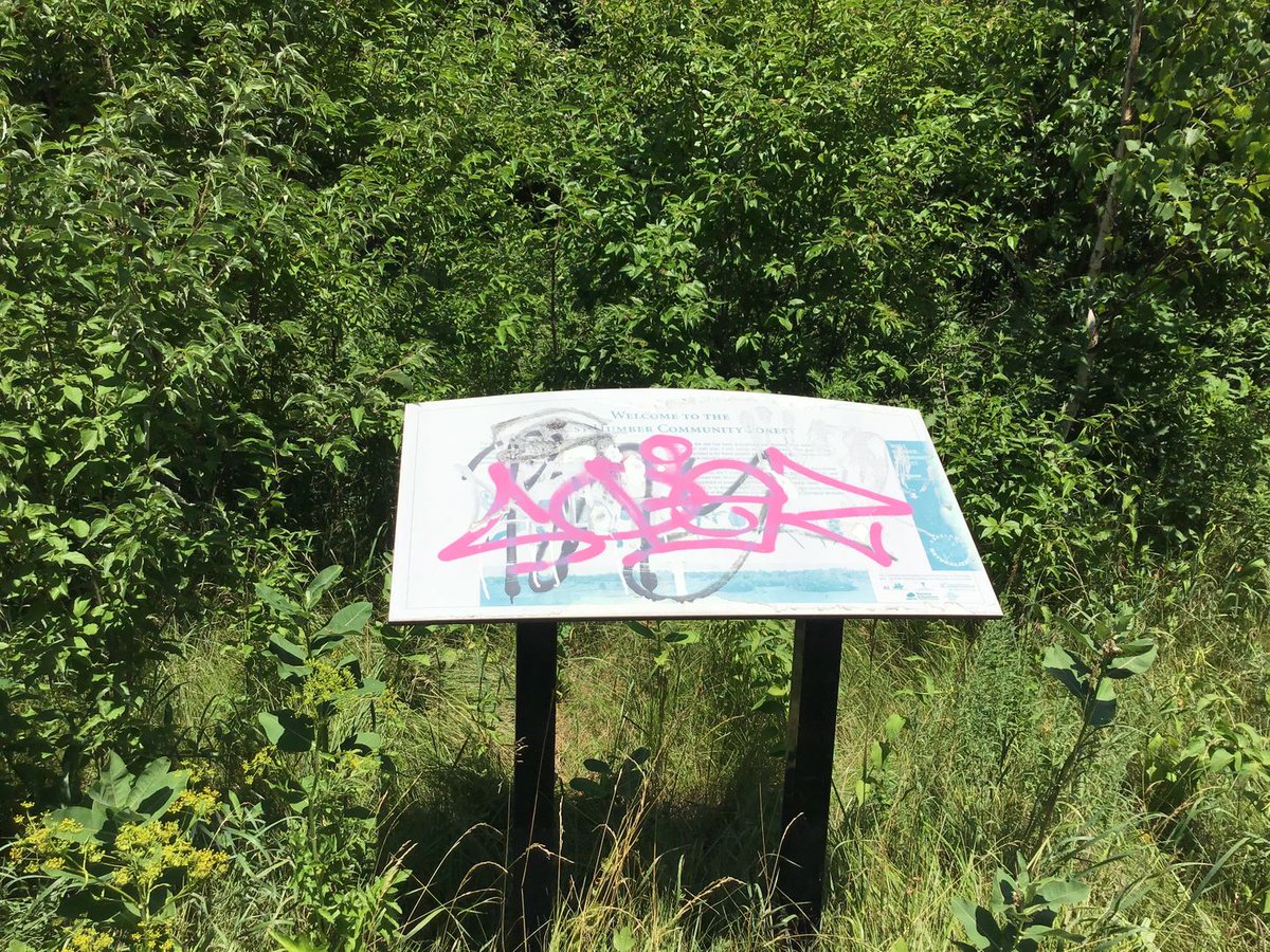 OurGreenway's tweet image. Plunging back to the Humber River in search of #PanAmPath, we instead found 1 overgrown bench and 2 destroyed signs. NW TO gets much less #Care than the #PanAmPath on the @WaterfrontTO. It wouldn't cost much to address this sense of neglect...yet, where are the stewards? 😕

(11)