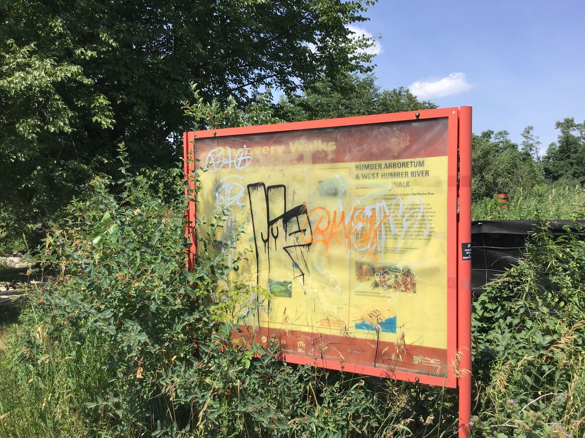 OurGreenway's tweet image. Plunging back to the Humber River in search of #PanAmPath, we instead found 1 overgrown bench and 2 destroyed signs. NW TO gets much less #Care than the #PanAmPath on the @WaterfrontTO. It wouldn't cost much to address this sense of neglect...yet, where are the stewards? 😕

(11)
