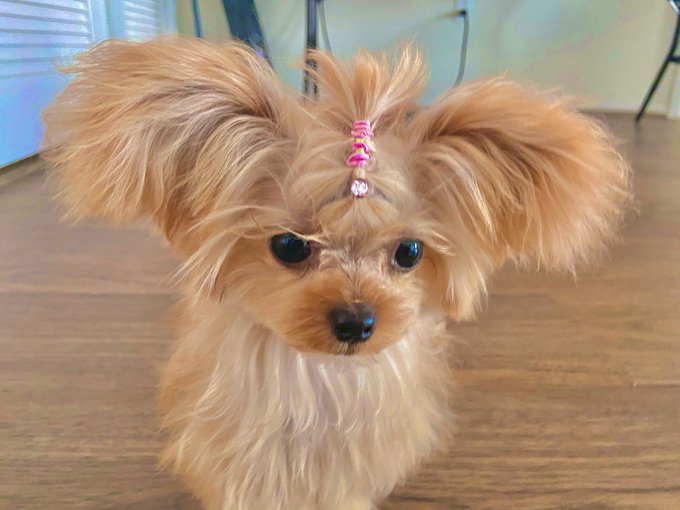 Wow they really made her that bitch 💕 https://t.co/1Ki5Apq7gp