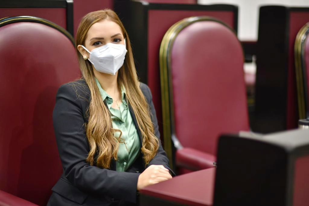 MarigrazHdez's tweet photo. En la comparecencia del Secretario d @SEDECOPVer ante el Congreso del Estado. En mi intervención agradecí el apoyo en la implementación de la Ley de Desarrollo Artesanal así como también en la organización de la primera edición del Premio Estatal Artesanal que está por realizarse https://t.co/rtdDxyCtWy