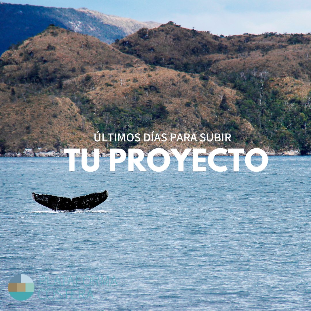 PlatCostera's tweet photo. ¡Las costas de Chile te necesitan!

Queremos ayudarte a difundir tu proyecto y a conectar y colaborar con quienes, al igual que tú, trabajan en la protección de la costa para un desarrollo sostenible .

Sube tu proyecto aquí:

https://t.co/mvr5BJta2X https://t.co/cYm8K57S5k