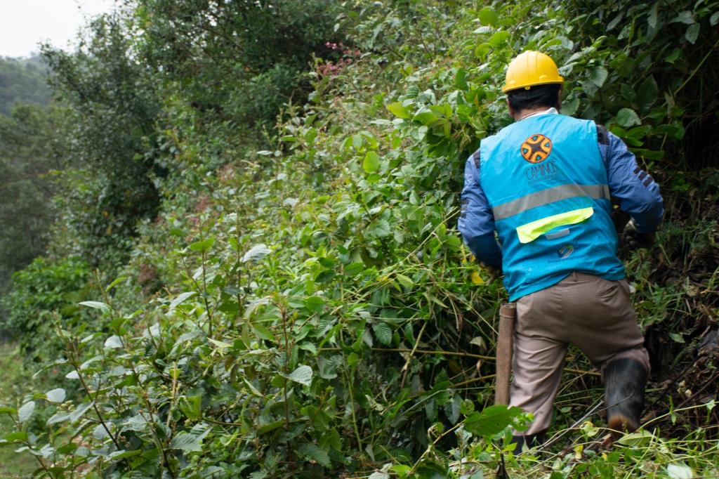 GobCauca's tweet photo. ¡El Gobierno Departamental avanza en las subregiones! Nuestro compromiso con el mantenimiento rutinario y mejoramiento de vías rurales. Con #CaminosDeOportunidades mejoramos vías y vidas, fortalecemos la organización y el empoderamiento de las mujeres en el @DepCauca https://t.co/hrBaQd5xHf