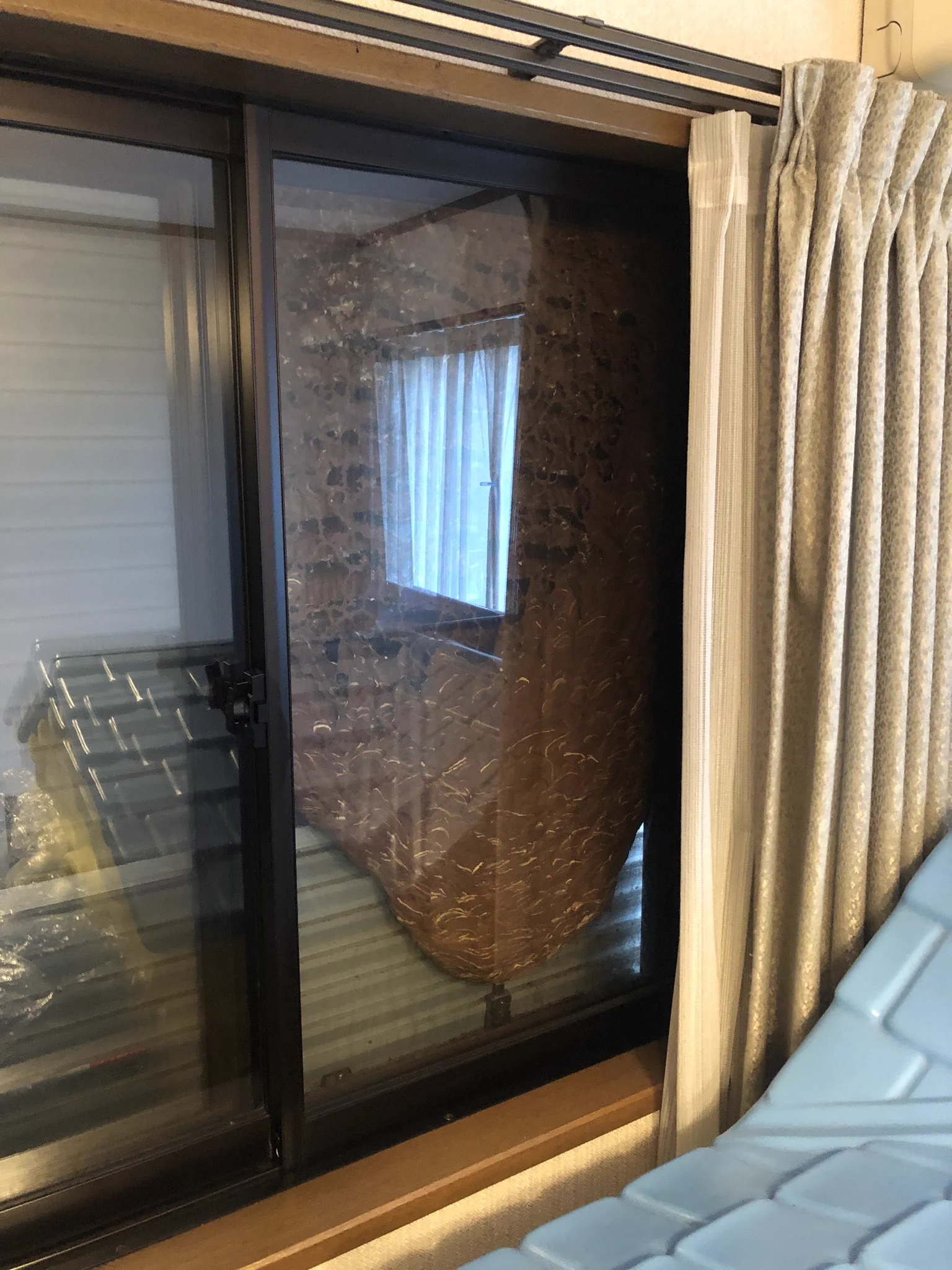 こんなサイズの蜂の巣を作られるなんて怖すぎる！カーテンを開けたら驚きの光景が･･･！