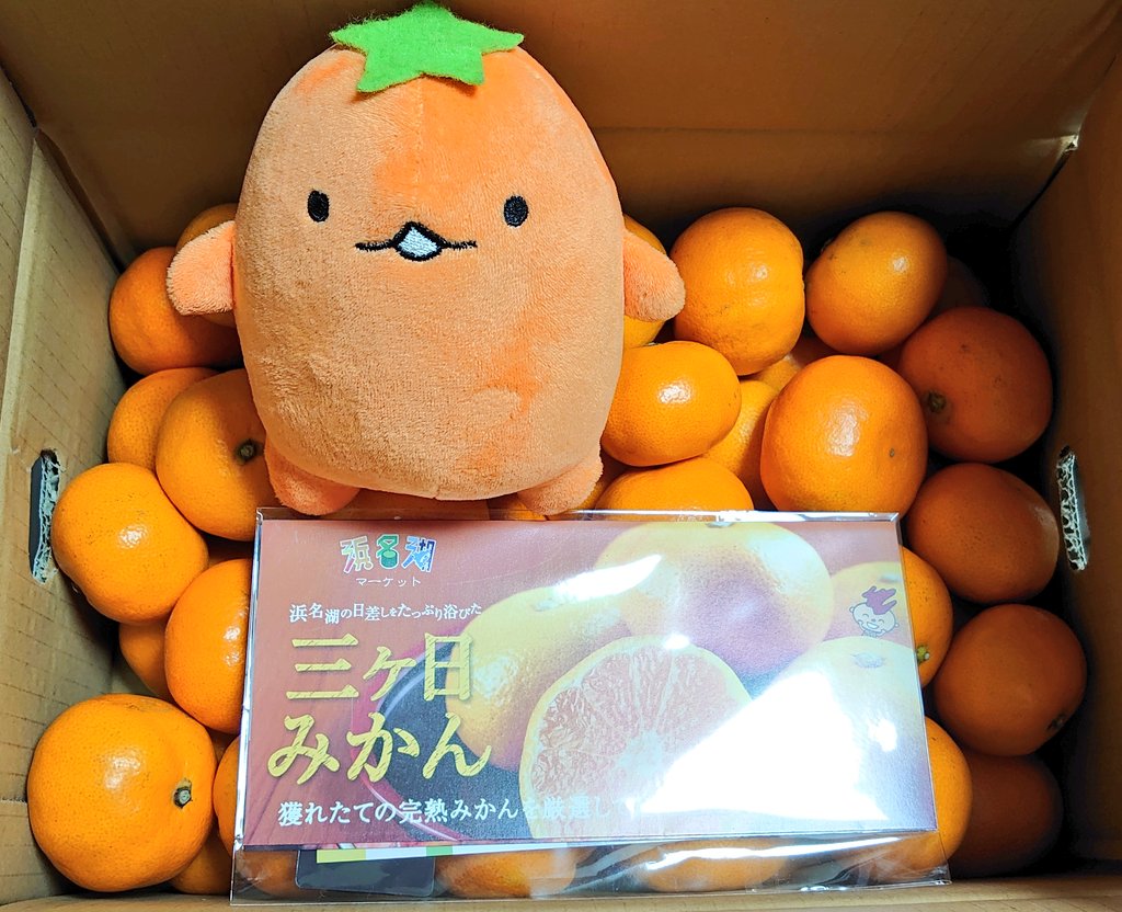 ミッカビー Mikkaby Twitter ミッカビー Mikkaby Twitter