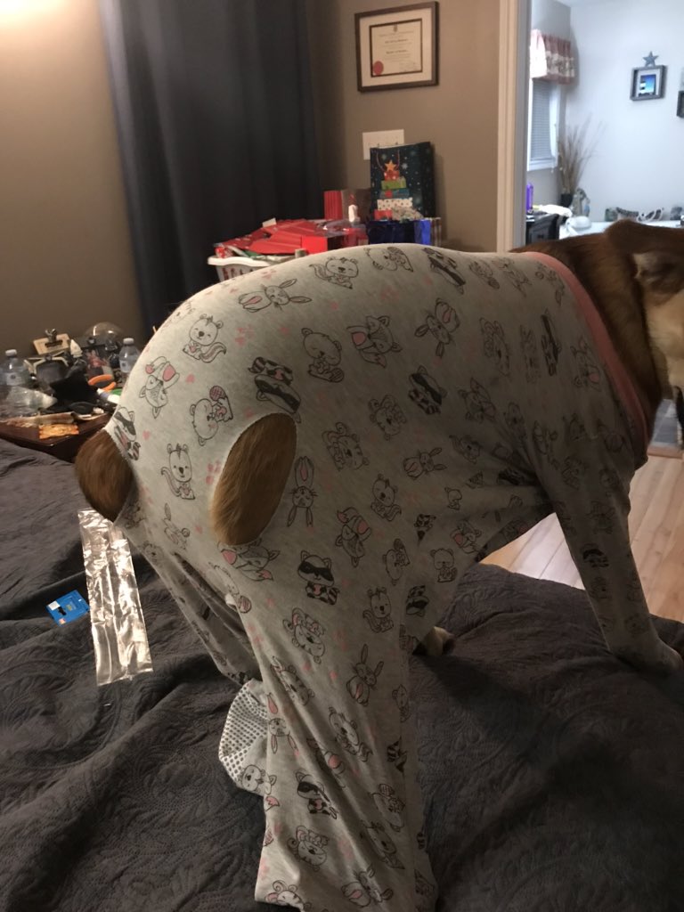 Blacksmorez's tweet photo. “Get her a onesie” she said. “It will help” she said. https://t.co/8sk2pdsvWX