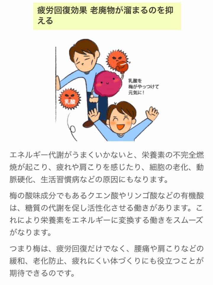 肩甲骨の痛み Twitter Search 肩甲骨の痛み Twitter Search