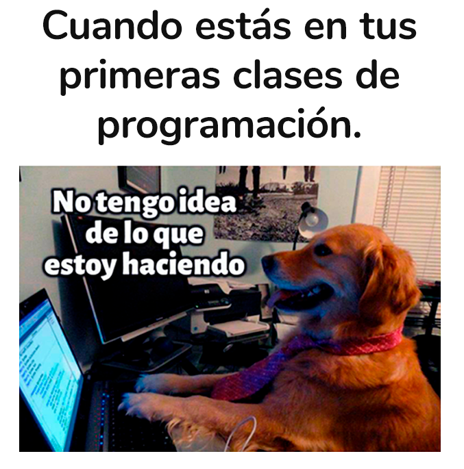 TalexaMX's tweet photo. Pero se siente genial. 💪😊

#Talexa #Memes #Humor #Programadores https://t.co/NGeaiP7Osf