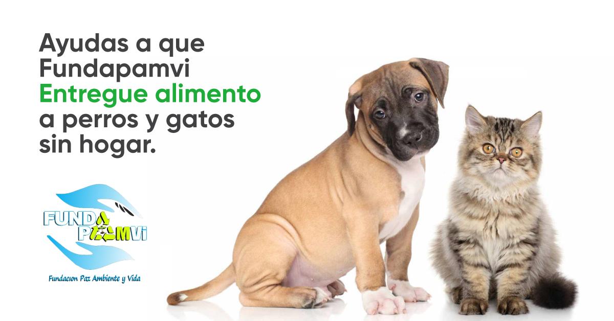 BioverdiNatura's tweet photo. BIOVERDi Natura y @fundapamvi ayudamos a los peluditos de la calle!!!! 
🐶🐱💚
.
.
.
.
#bioverdinatura #bioverdi #ecoamigable #limpieza #desinfeccion #perros #perrosygatoscallejeros #gatos #productosparalimpieza #aseo #productosdeaseo 
#ayudaperrosdelacalle https://t.co/lOOFvMWnI0
