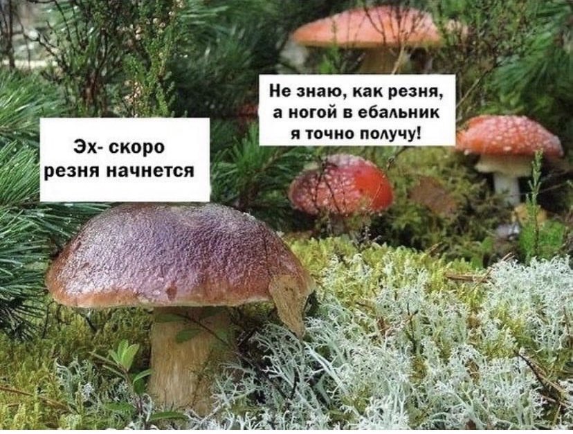 простите, очень смеюсь