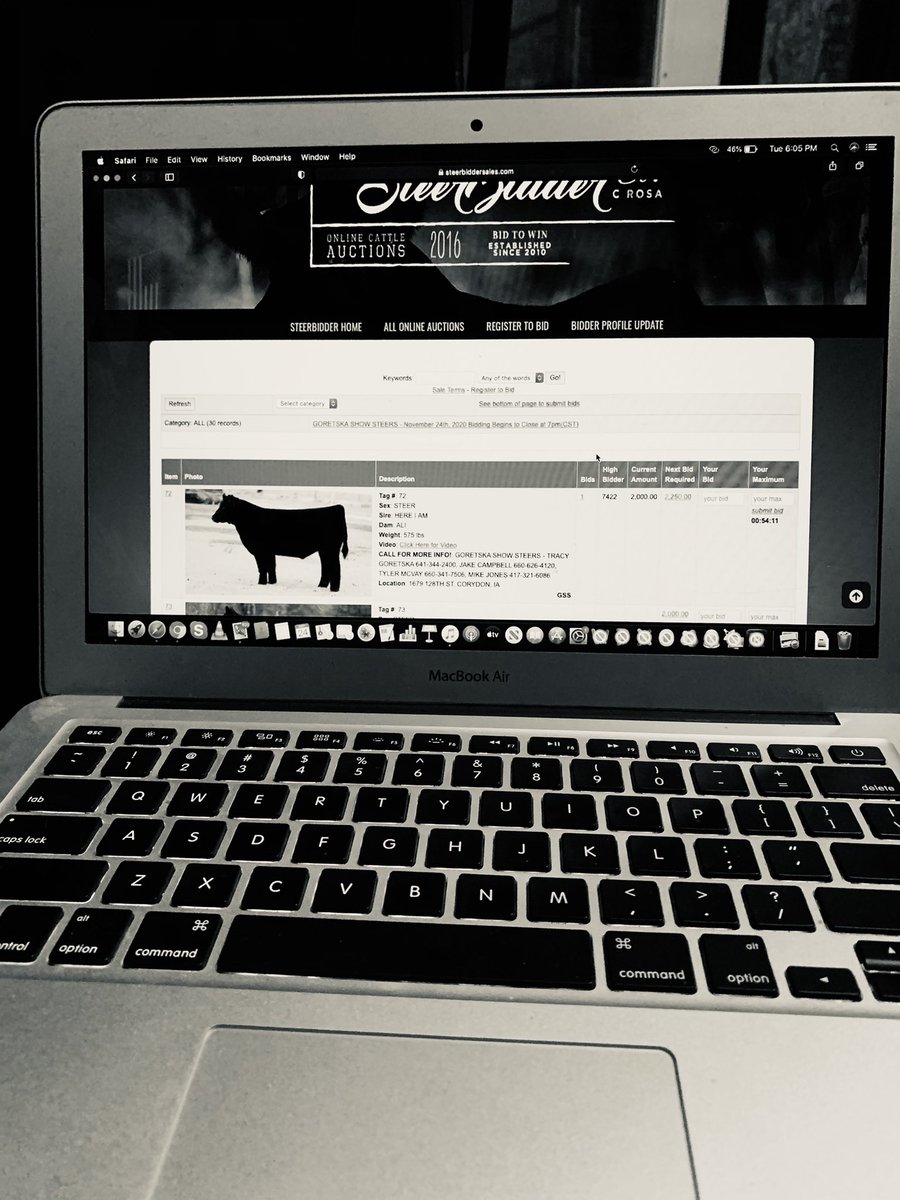 Time to get in on the Texas Hold’em Sale! Bid bid bid on steerbidder.com