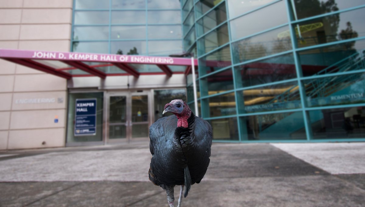 UCDavisCOE's tweet photo. We are thankful for our #AggieEngineer community!🦃 https://t.co/bhvwZ3ik9F