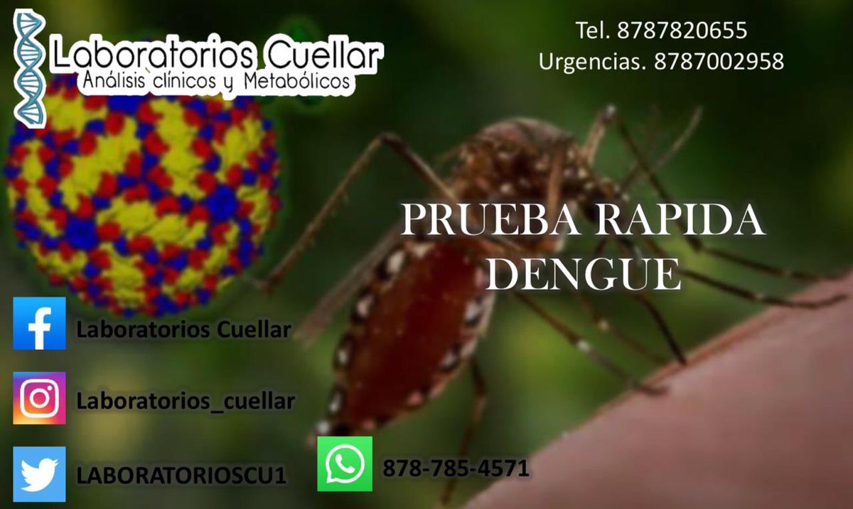 LABORATORIOSCU1's tweet photo. Siempre preocupados por la salud de nuestra comunidad ponemos a tu disposición la prueba para dengue en sangre.

PREGUNTA POR NUESTROS PAQUETES PROMOCIONALES 

RECUERDA QUE TENEMOS TOMA DE MUESTRA A DOMICILIO SON NINGÚN COSTO https://t.co/iWlnZzrbhu