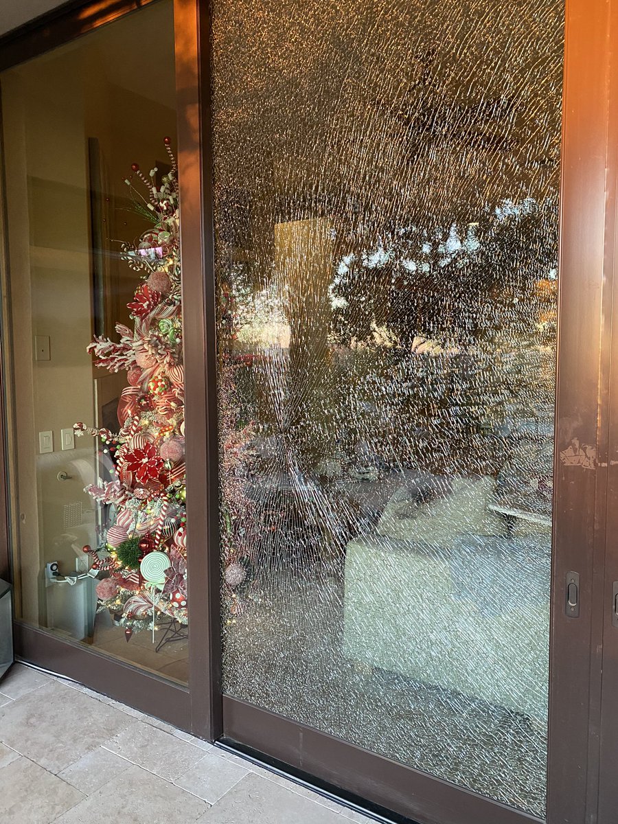 480blonde's tweet image. At what point this week of #Thanksgiving do I not need to be thankful I was home for my window shattering? #atleastmytreelookscute #2020problems