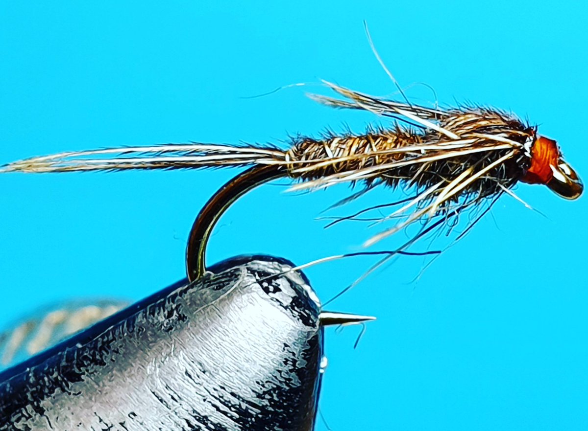 tamby180's tweet photo. A personal favourite of mine, the pheasant tail nymph variant available for purchase from Trout Fodder Flies on Facebook. #flyfishing #flytying #flytyingjunkie #troutfishing #trout #troutfodderflies #angling #fishing https://t.co/UFRAbTGszF