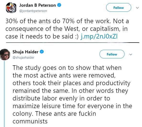 cons_owned's tweet photo. Communist ants DESTROY Jordan Peterson with FACTS and LOGIC https://t.co/YLUfcnYkF9