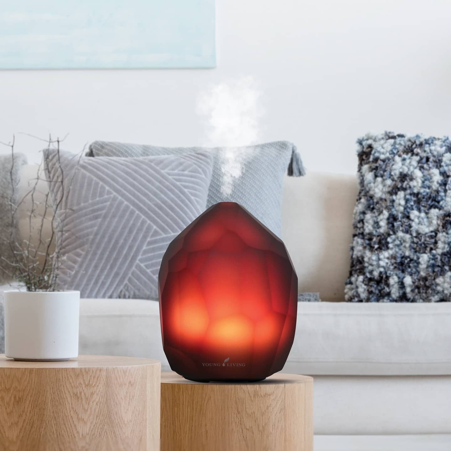 Diamond diffuser cheap young living