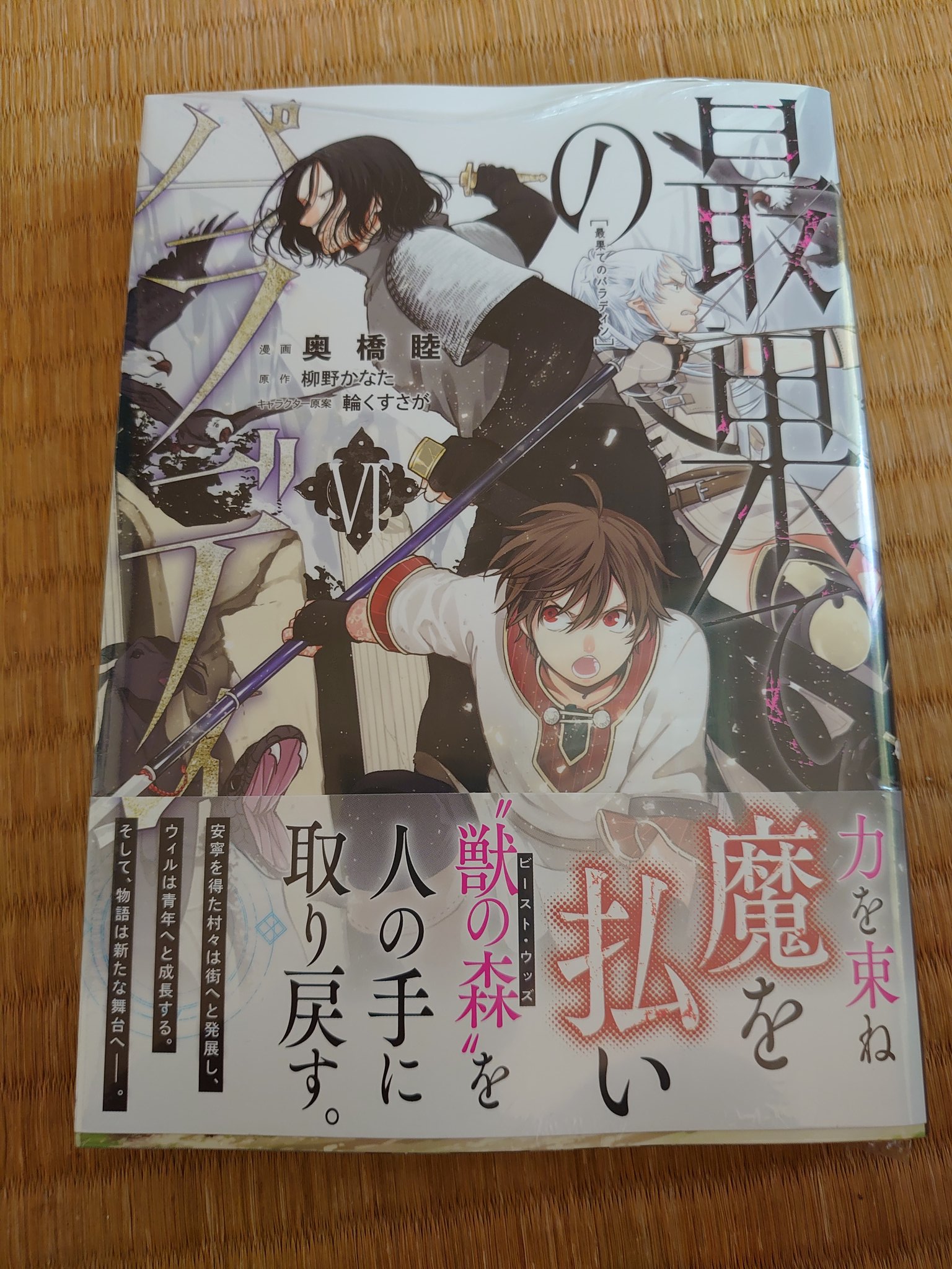 柳野かなた 最果てのパラディン はい ちょっと足を伸ばして書店に行ってました 田舎ぐらし 最果てのパラディン コミカライズ6巻ありました 買いました 本日発売ですよろしくお願いします T Co Algk5yswtm Twitter