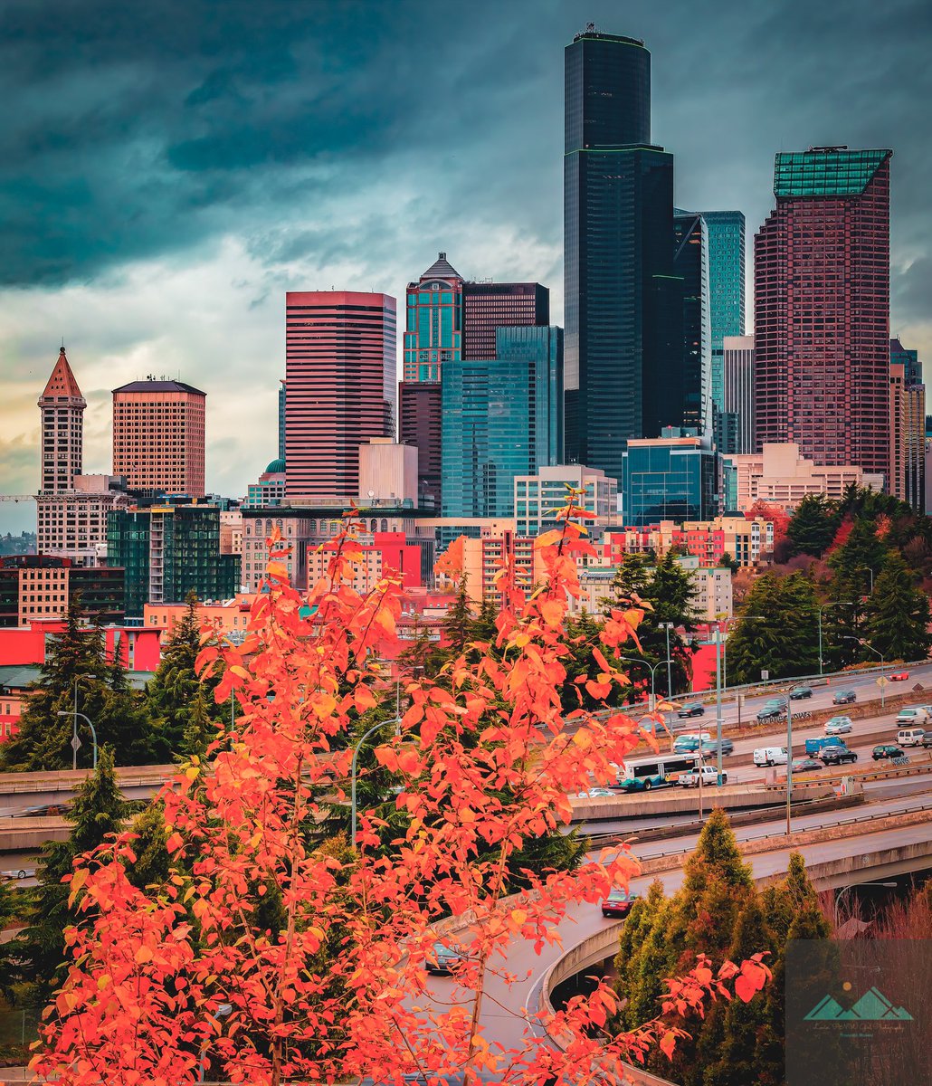 🏙RAIN OR SHINE, THIS CITY STILL SHINES🏙 ⁣
.⁣
.⁣
.⁣
.⁣
.⁣
#pnwfall #seattle #travel #cityphotography #pnw #pnwlife #upperleftusa #cascadiaexplored #explore  #citylife #fall #adventure #photography #thatpnwlife #pnwonderland #visitseattle #pnwdiscovered #pnwphotographer