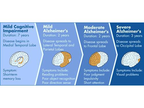 LoveAndWarISU's tweet photo. #NationalAlzheimersMonth! Stay tuned all month for important facts and information about Alzheimer’s 💜#LoveAndWar #ISU24 #ISU23 #ISU22 #ISU21 #WeAllRise https://t.co/u6fQWFjbpy