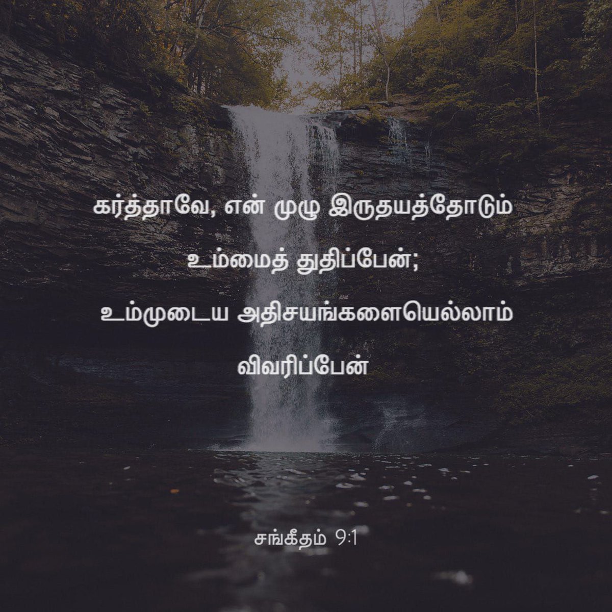 AarudhalTV's tweet photo. கர்த்தாவே, என் முழு இருதயத்தோடும் உம்மைத் துதிப்பேன்; உம்முடைய அதிசயங்களையெல்லாம் விவரிப்பேன்.  உம்மில் மகிழ்ந்து களிகூருவேன்; உன்னதமானவரே, உமது நாமத்தைக் கீர்த்தனம் பண்ணுவேன். 

- சங்கீதம் 9:1 - 2 -

https://t.co/IqN15mg1TC https://t.co/WKd4NQO8Vv