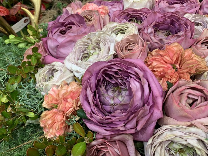 花農家のtwitterイラスト検索結果