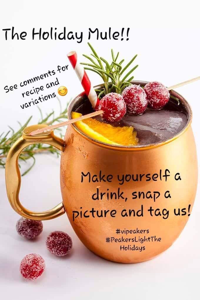 vipeakers's tweet photo. Join us for a festive Holiday Happy Hour! See photos for details!Coming Dec 3-Cinnamon Rosemary Old Fashioned, Dec 13-Spiked Gingerbread Eggnog. 🎄🥂
Here are the hashtags to use😀 #peakerholidayhappyhour  #PeakersLightTheHolidays #vipeakers
#MPC2020 #mypeakchallenge #SamHeughan https://t.co/YbXOrSUGz7