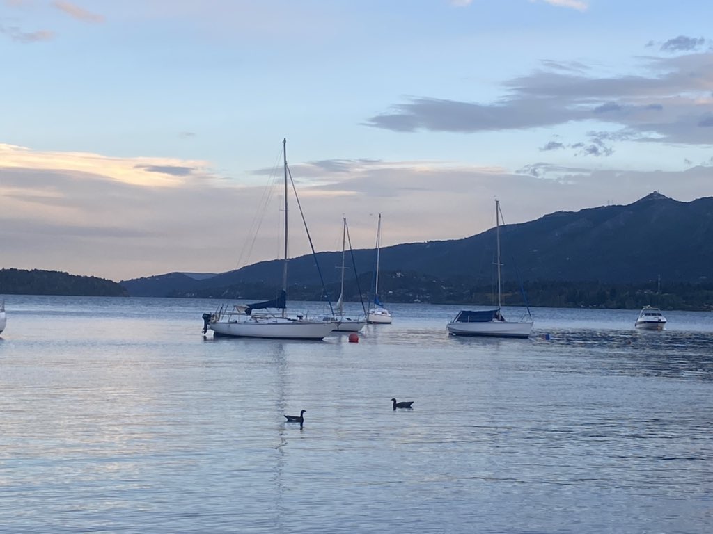 SilviaLuzzardi's tweet photo. Atardecer en mi @Bariloche_ar querido, unos patitos disfrutando del Nahuel Huapi😍 https://t.co/pUDPiKX81P