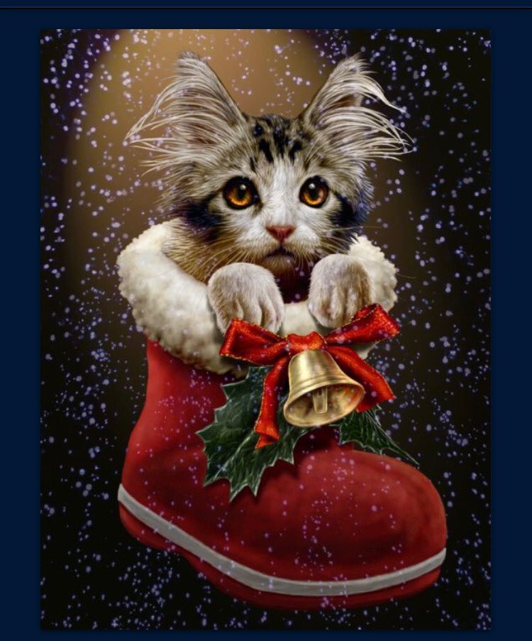 💋💋💋Kittens & Mistletoe 💋💋💋

@BenRiversTweets 
@Bentcat700Tx 
@TerryxHarper 
@Myhellokitten 
@BulldogBen 
@tybucha
@azstudigital 
@bab_101 
@LisaWNC1 
@1strongrobin 
@New_AllyO 
@ICEMANBOVEN 
@sweet_iced_T 
@BadQuotesGuy 
@EvanIsNuts 
@duglopresists 
@MommaKFL 
@WeeksNoah