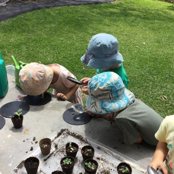 This week we're highlighting Education Provider Chelmer Station Community Kindergarten.

They have maybe one of the most beautiful natural settings where shoes are optional! Their philosophy is based around learning through play and they sure embrace it.