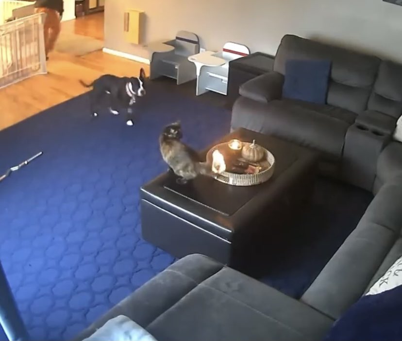 britittyp's tweet photo. Same vibes https://t.co/YLlZrdLcKh