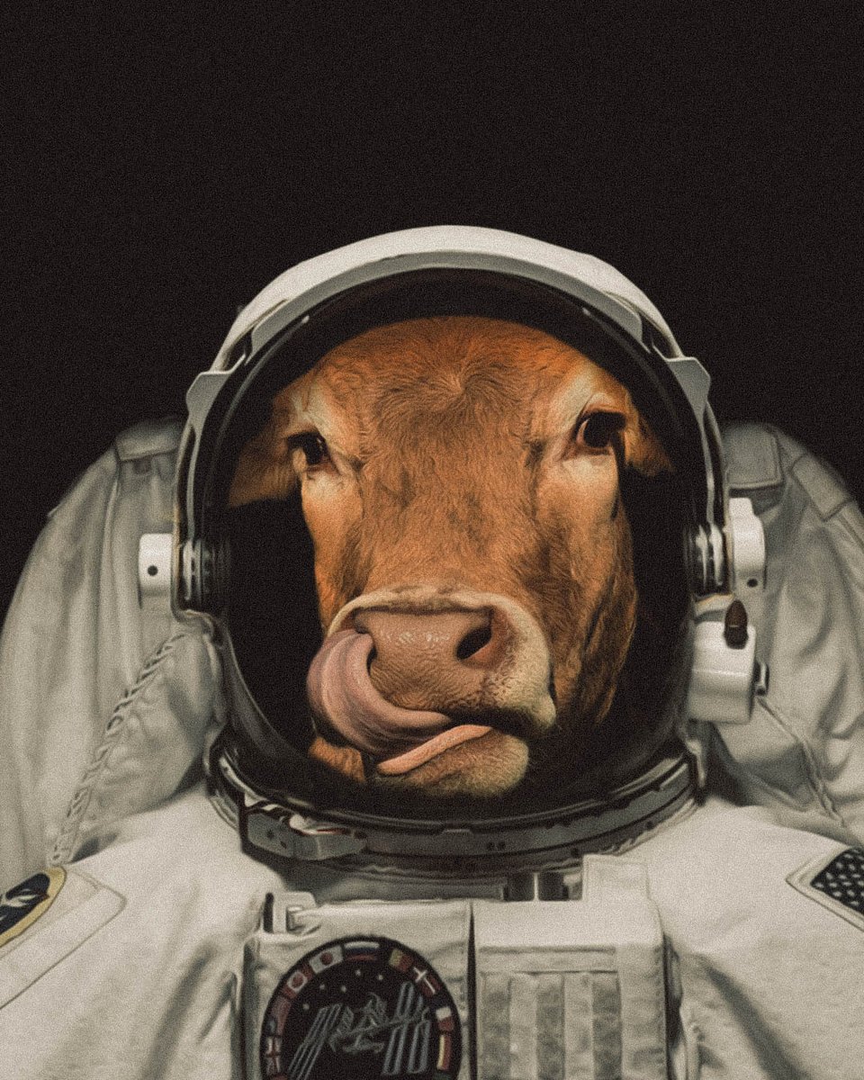 sunilbob80's tweet photo. ಪುಣ್ಯಕೋಟಿ
"Punyakoti"
. 
. 
No animals were harmed during the making of this design
. 
. 
#surreal #cow #surrealism #surrealart #graphicdesign #graphicart #abstractart #graphicart #psychedelic #photomanipulation #photoshopart #absurd #animals #astronaut https://t.co/yMIWys8GIc