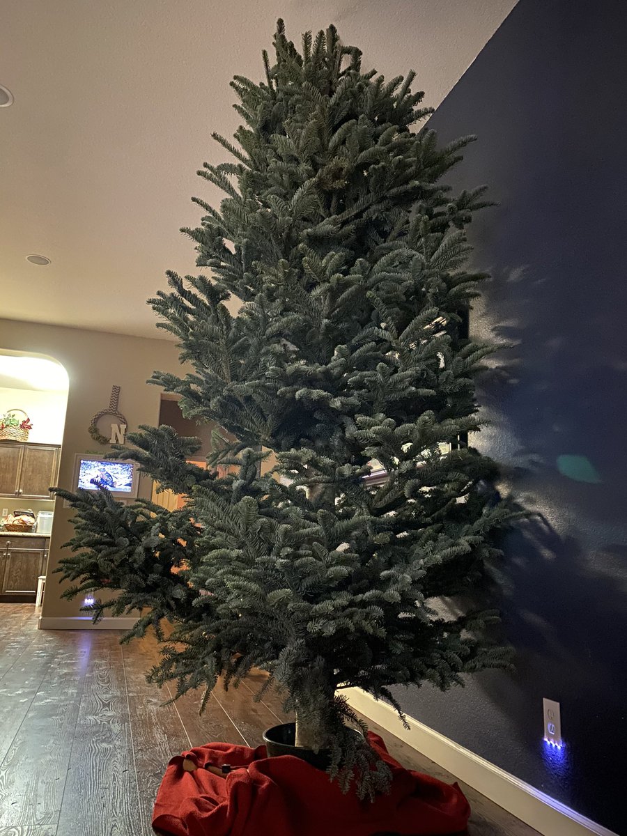 DavidENorman's tweet photo. Made the guys put the tree on the Jeep this year 😂😂

Then had to chop 8” off to get it in the house .... used a handsaw, hatchet, sledge &amp; angle grinder 🦾🦾

#Itstooltime https://t.co/yRSFox6FD9