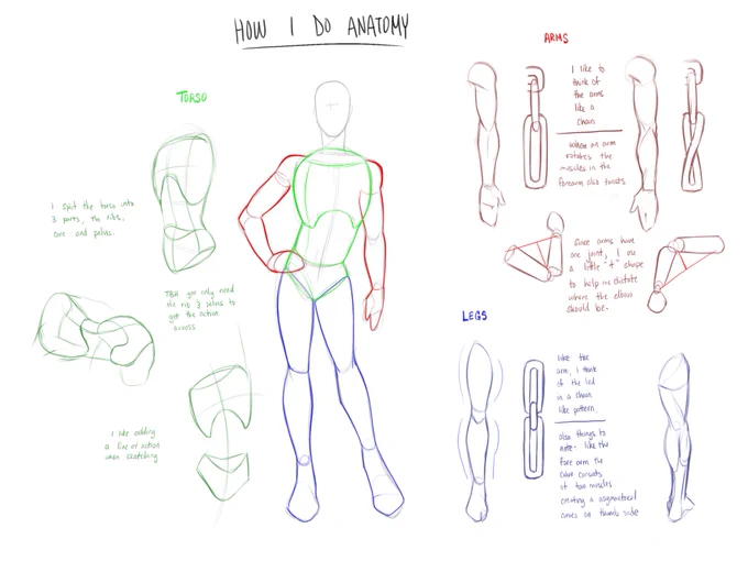 and like I promised, an anatomy tutorial. it's my first time making one so I hope it helps :3 

also abs cuz i feel like y'all would like it 