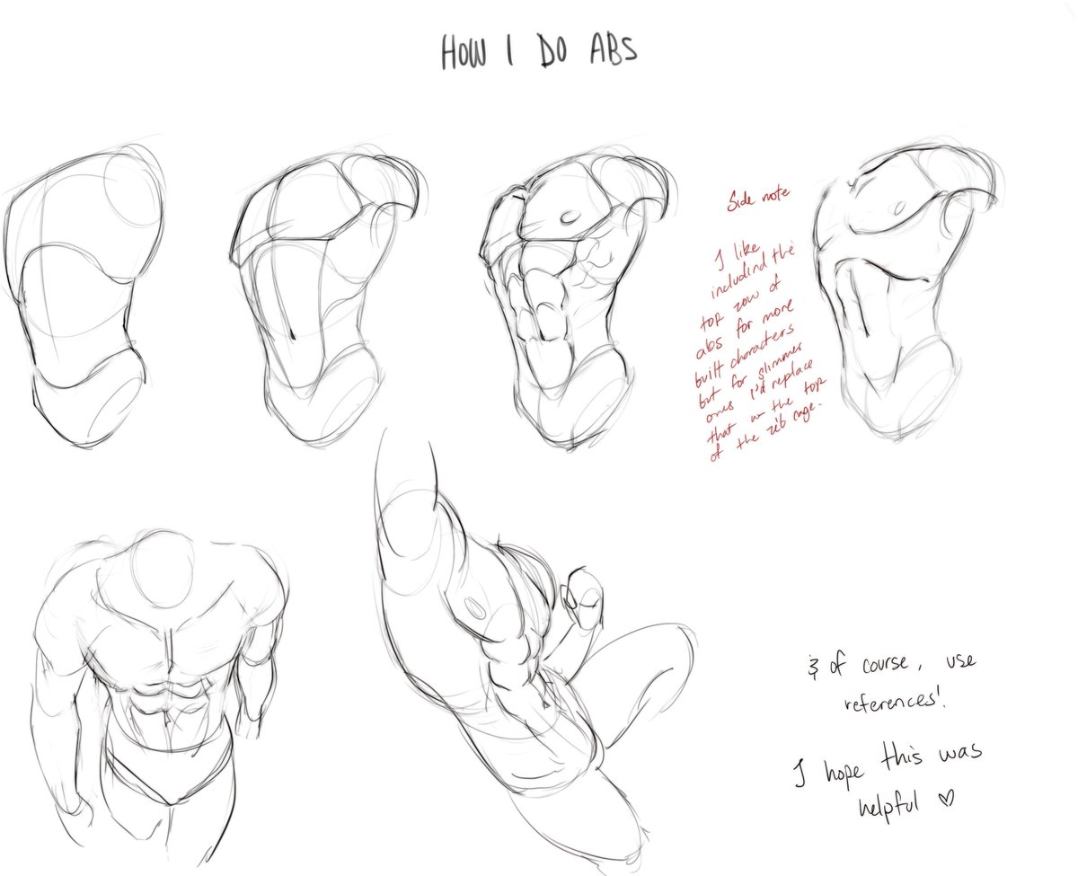 and like I promised, an anatomy tutorial. it's my first time making one so I hope it helps :3 

also abs cuz i feel like y'all would like it 