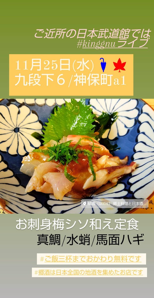 Kinggnu日本武道館live