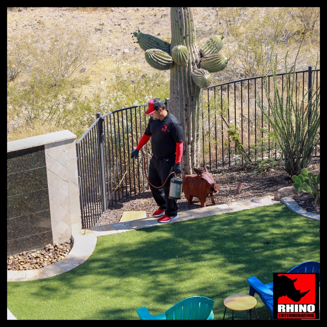 RhinoExt's tweet photo. Licensed to kill - Did you know we can also treat your home for weeds? From State agencies, to your home; no job is too big or too small.
⠀
#RhinoExterminating #FearTheRhino #PestControl #exterminator #bug #ant #cockroach #termites #bedbugs #scorpion #spider #weeds #phoenix https://t.co/PAEenUZAlp
