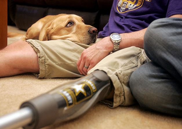 veterandogs's tweet image. Operation Dog Tag – Saving Veteran’s Lives, One Dog at a Time dlvr.it/RmNRv3