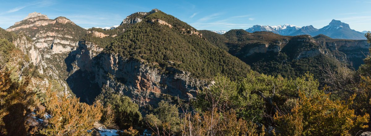 SobrarbeGeopark's tweet photo. El camino de la Sardinera te pasea por las entrañas del #anticlinal de #Añisclo, te asoma al #cañón de Las Cambras y te planta delante del macizo de #Cotiella. Todo explicado aquí: https://t.co/lOb8l3CN0q
@SoyEcoturista @TUHUESCA @aragonturismo #divulgación #geología #Pirineo https://t.co/Jf4A6YZIND