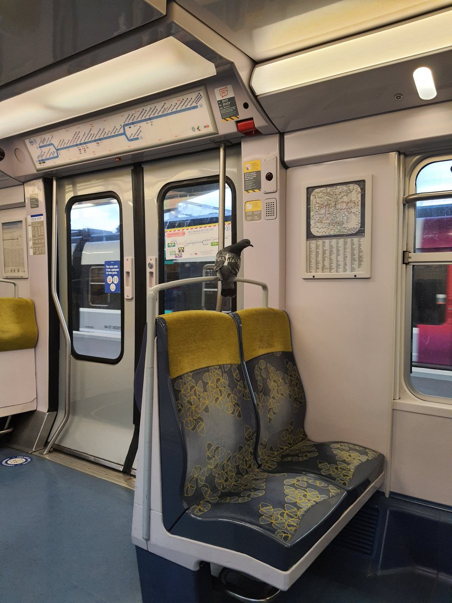 Les pigeons voyageurs de 2020 #RERB pas de masque,  ni attestation sur lui ni titre de transport...