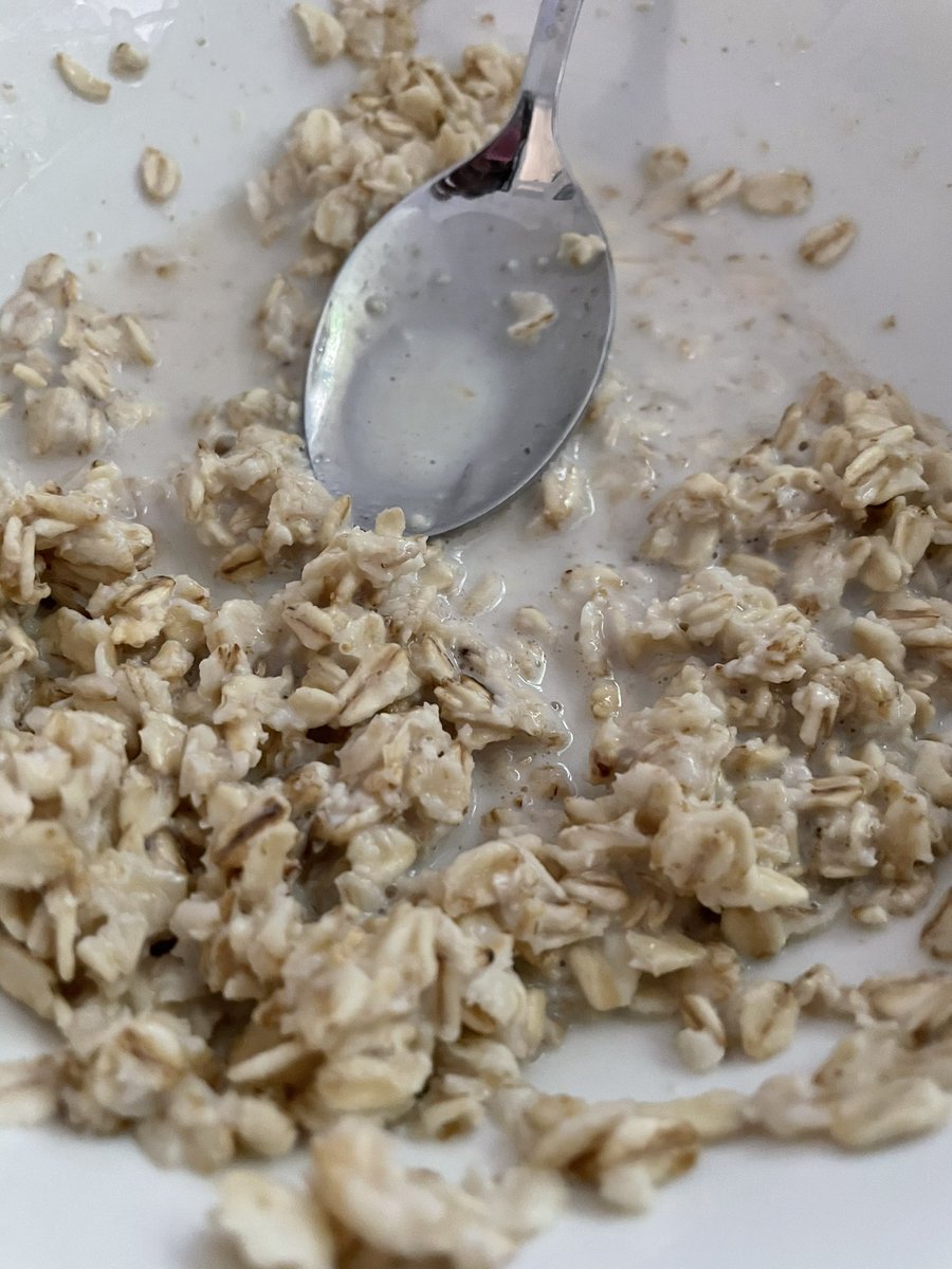 _shorshor's tweet photo. Can’t wait to eat my oats for the day https://t.co/J8rZfQtyeW